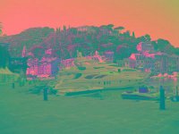 IMGP2632 edited (Medium)